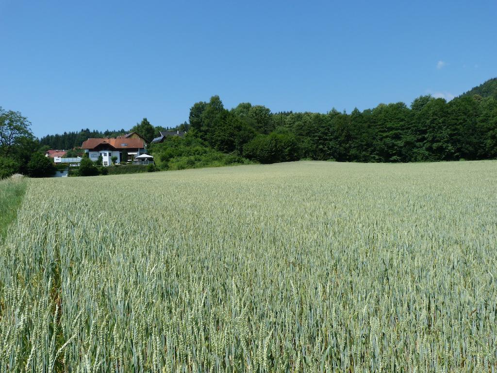 Ferienhaus Bluemel Inkl. Freier Strandbadeintritt Velden am Wörther See Extérieur photo